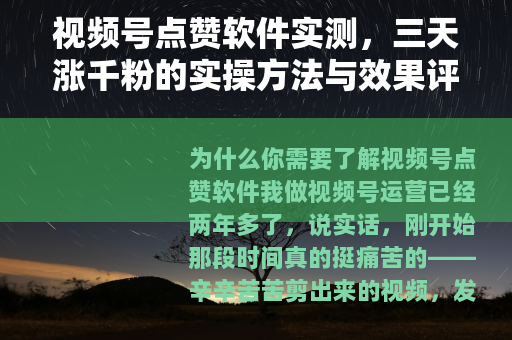 视频号点赞软件实测，三天涨千粉的实操方法与效果评估