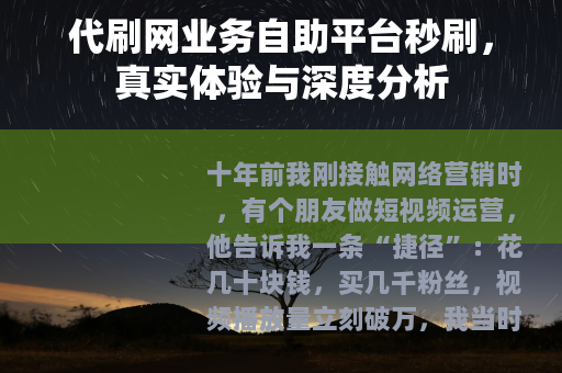 代刷网业务自助平台秒刷，真实体验与深度分析
