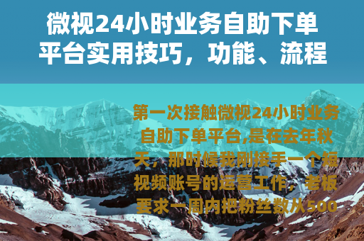 微视24小时业务自助下单平台实用技巧，功能、流程与常见问题解答