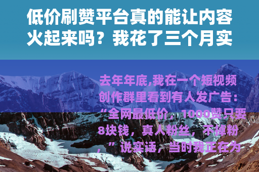 低价刷赞平台真的能让内容火起来吗?我花了三个月实测了五个 低价刷赞平台真的能让内容火起来吗?我花了三个月实测了五个