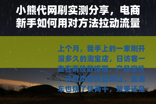 小熊代网刷实测分享，电商新手如何用对方法拉动流量