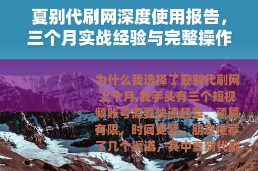 夏别代刷网深度使用报告，三个月实战经验与完整操作指南