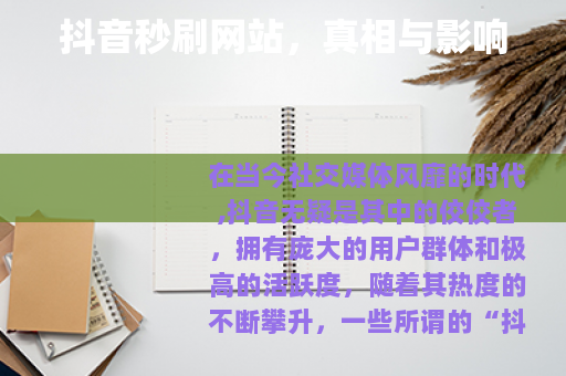 抖音秒刷网站，真相与影响