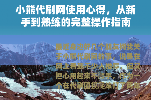 小熊代刷网使用心得，从新手到熟练的完整操作指南