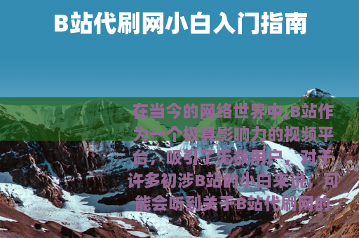 B站代刷网小白入门指南