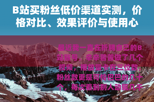 B站买粉丝低价渠道实测，价格对比、效果评价与使用心得