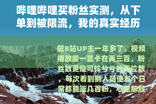 哔哩哔哩买粉丝实测，从下单到被限流，我的真实经历