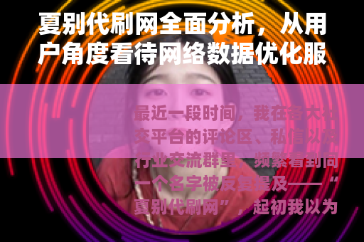 夏别代刷网全面分析，从用户角度看待网络数据优化服务的选择