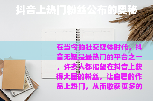 抖音上热门粉丝公布的奥秘