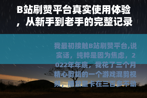 B站刷赞平台真实使用体验，从新手到老手的完整记录与反思