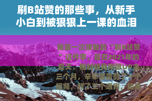 刷B站赞的那些事,从新手小白到被狠狠上一课的血泪史 刷B站赞的那些事,从新手小白到被狠狠上一课的血泪史