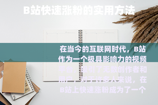 B站快速涨粉的实用方法