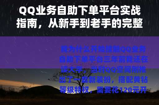 QQ业务自助下单平台实战指南，从新手到老手的完整操作手册