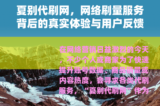 夏别代刷网，网络刷量服务背后的真实体验与用户反馈分析