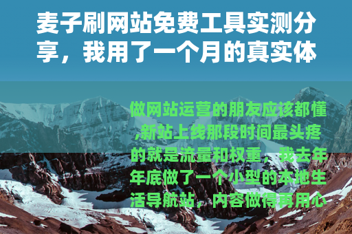 麦子刷网站免费工具实测分享，我用了一个月的真实体验与操作指南