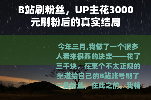 B站刷粉丝，UP主花3000元刷粉后的真实结局