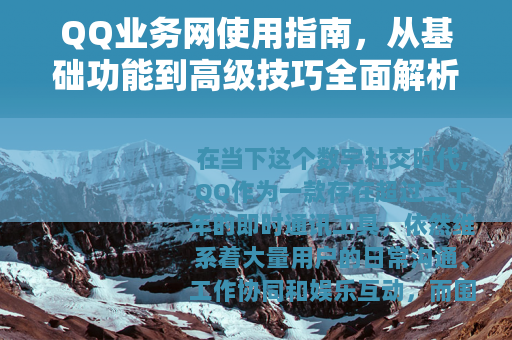 QQ业务网使用指南，从基础功能到高级技巧全面解析