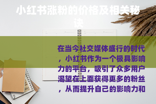 小红书涨粉的价格及相关秘诀