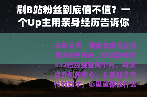 刷B站粉丝到底值不值？一个Up主用亲身经历告诉你