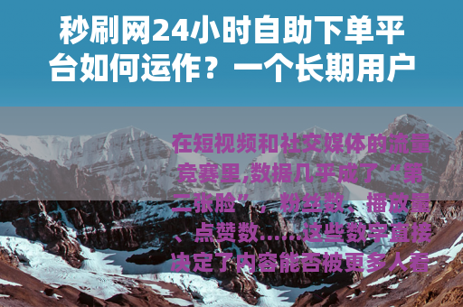 秒刷网24小时自助下单平台如何运作？一个长期用户的使用手记