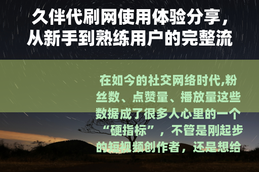 久伴代刷网使用体验分享，从新手到熟练用户的完整流程记录