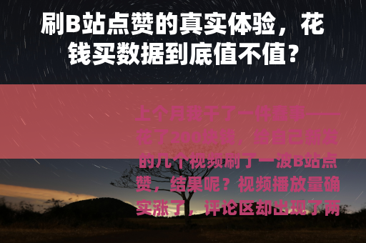 刷B站点赞的真实体验，花钱买数据到底值不值？