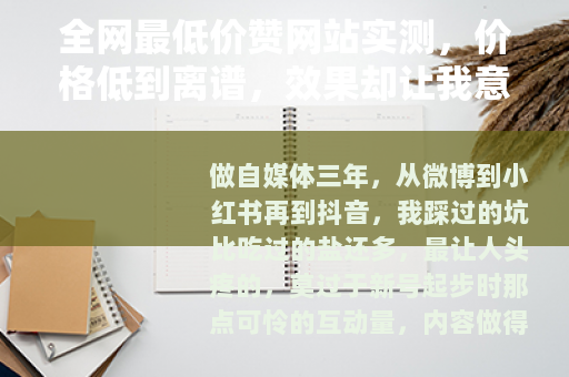 全网最低价赞网站实测，价格低到离谱，效果却让我意外