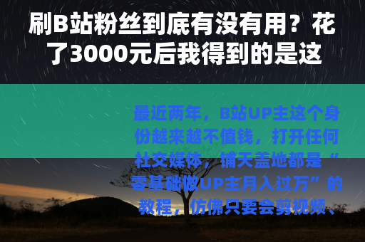 刷B站粉丝到底有没有用？花了3000元后我得到的是这些