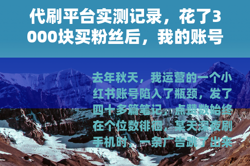 代刷平台实测记录，花了3000块买粉丝后，我的账号差点废了