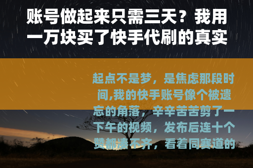 账号做起来只需三天？我用一万块买了快手代刷的真实教训