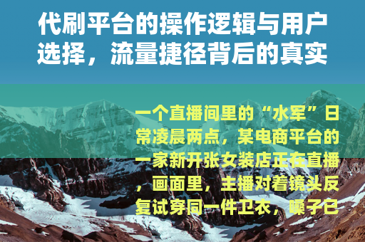 代刷平台的操作逻辑与用户选择，流量捷径背后的真实代价