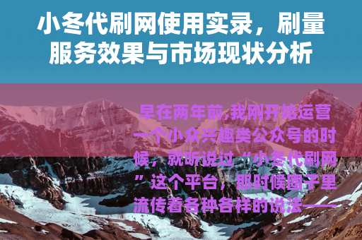 小冬代刷网使用实录，刷量服务效果与市场现状分析