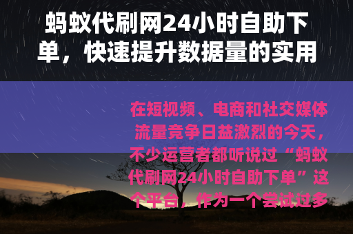 蚂蚁代刷网24小时自助下单，快速提升数据量的实用评测与操作指南