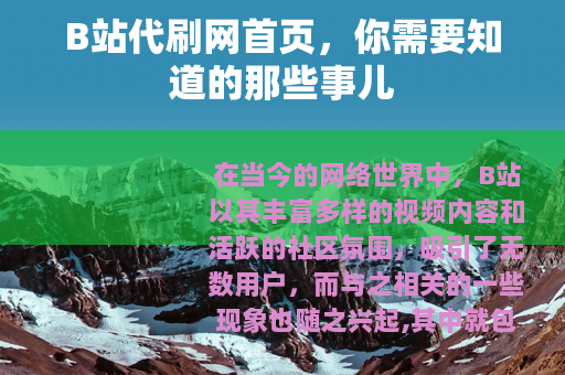 B站代刷网首页，你需要知道的那些事儿