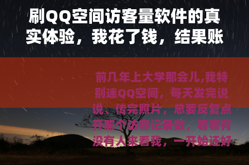刷QQ空间访客量软件的真实体验，我花了钱，结果账号差点废了