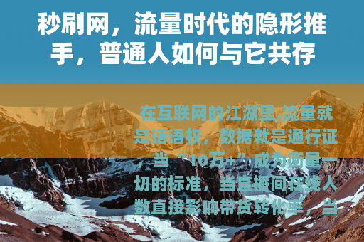 秒刷网，流量时代的隐形推手，普通人如何与它共存