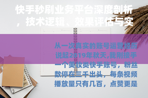 快手秒刷业务平台深度剖析，技术逻辑、效果评估与实用建议