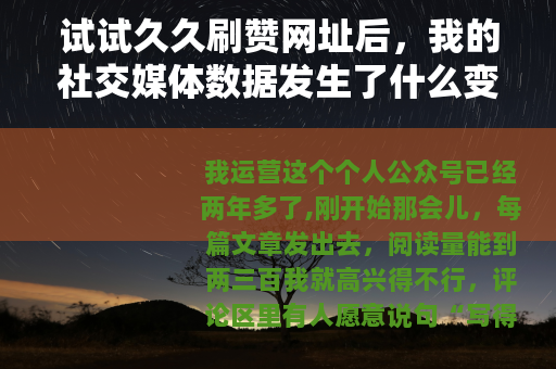 试试久久刷赞网址后，我的社交媒体数据发生了什么变化？
