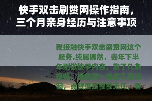 快手双击刷赞网操作指南，三个月亲身经历与注意事项