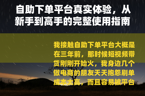 自助下单平台真实体验，从新手到高手的完整使用指南