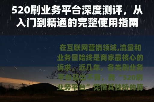 520刷业务平台深度测评，从入门到精通的完整使用指南