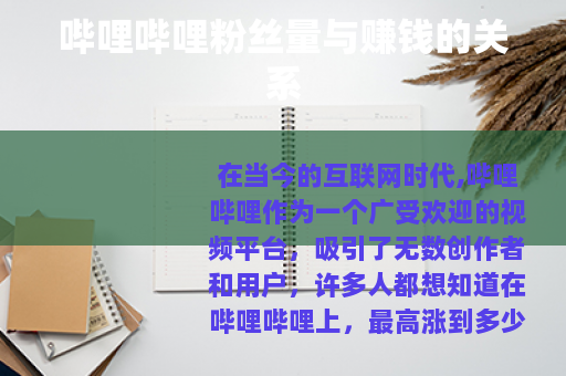 哔哩哔哩粉丝量与赚钱的关系