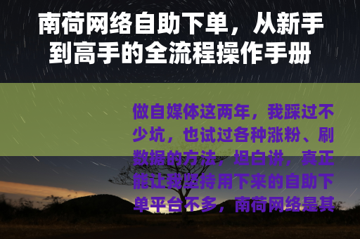 南荷网络自助下单，从新手到高手的全流程操作手册