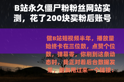B站永久僵尸粉粉丝网站实测，花了200块买粉后账号发生了什么
