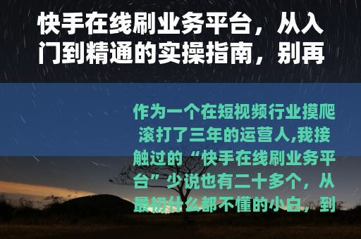 快手在线刷业务平台，从入门到精通的实操指南，别再被忽悠了