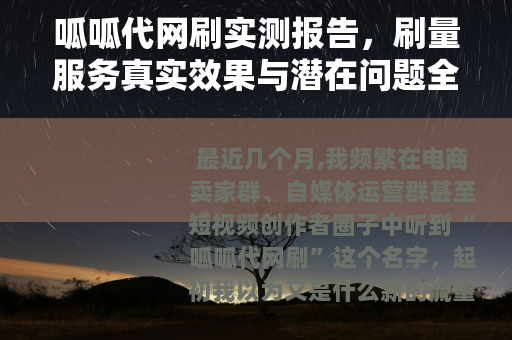 呱呱代网刷实测报告，刷量服务真实效果与潜在问题全解析