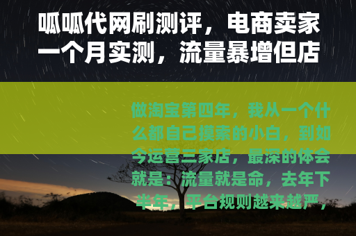 呱呱代网刷测评，电商卖家一个月实测，流量暴增但店铺安全吗？
