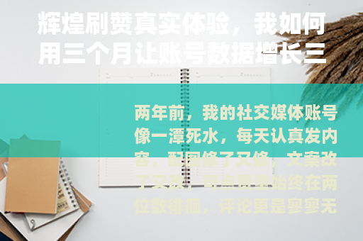 辉煌刷赞真实体验，我如何用三个月让账号数据增长三倍