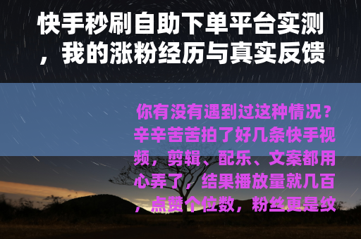 快手秒刷自助下单平台实测，我的涨粉经历与真实反馈与注意事项