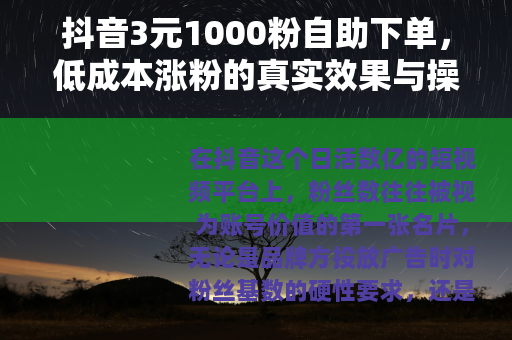 抖音3元1000粉自助下单，低成本涨粉的真实效果与操作指南